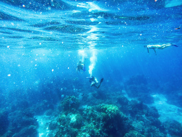 diving deep at Cozumel