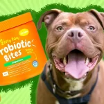 probiotic chews for dog